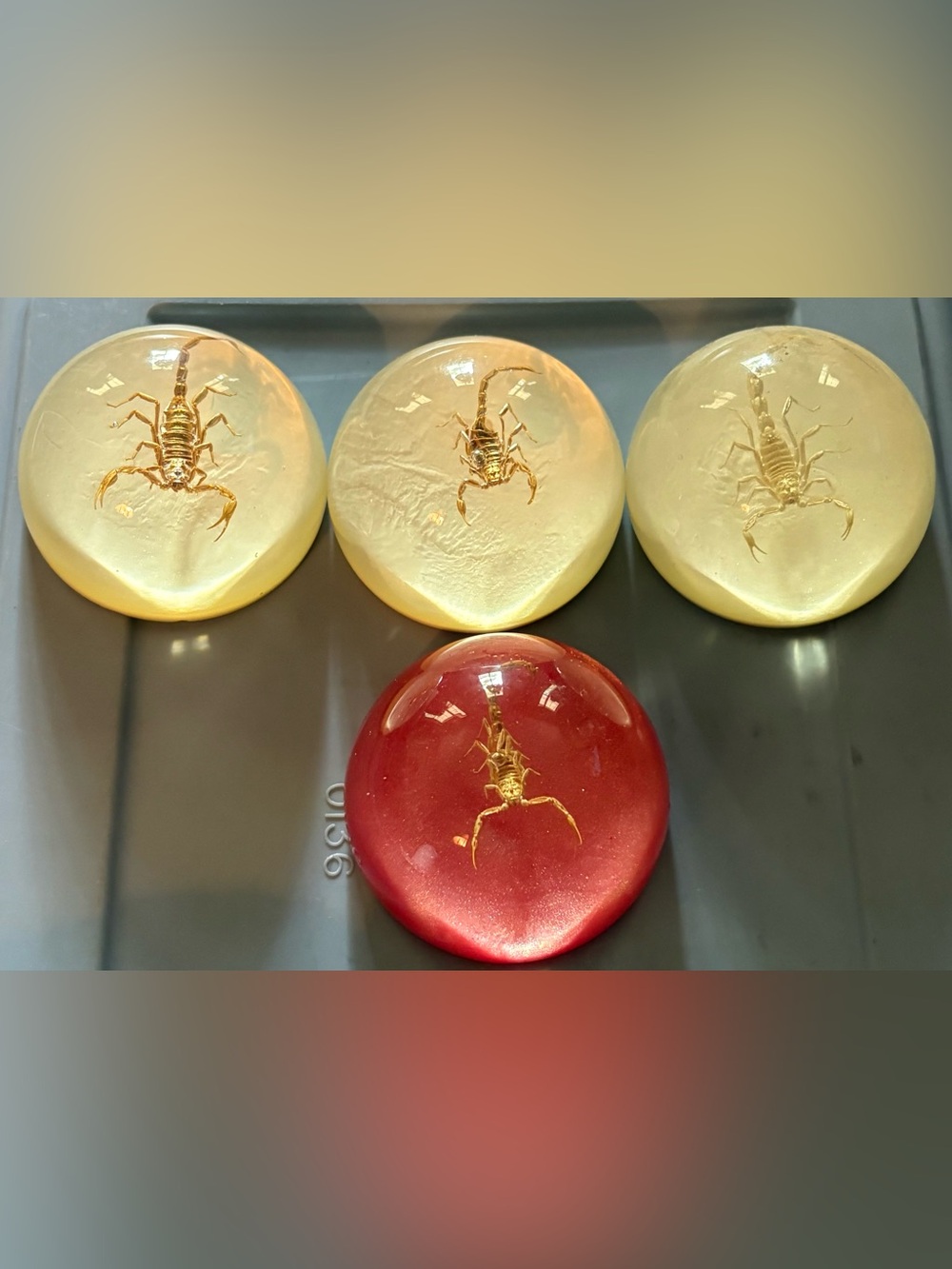 Scorpion - Dome Paperweights, set of 4